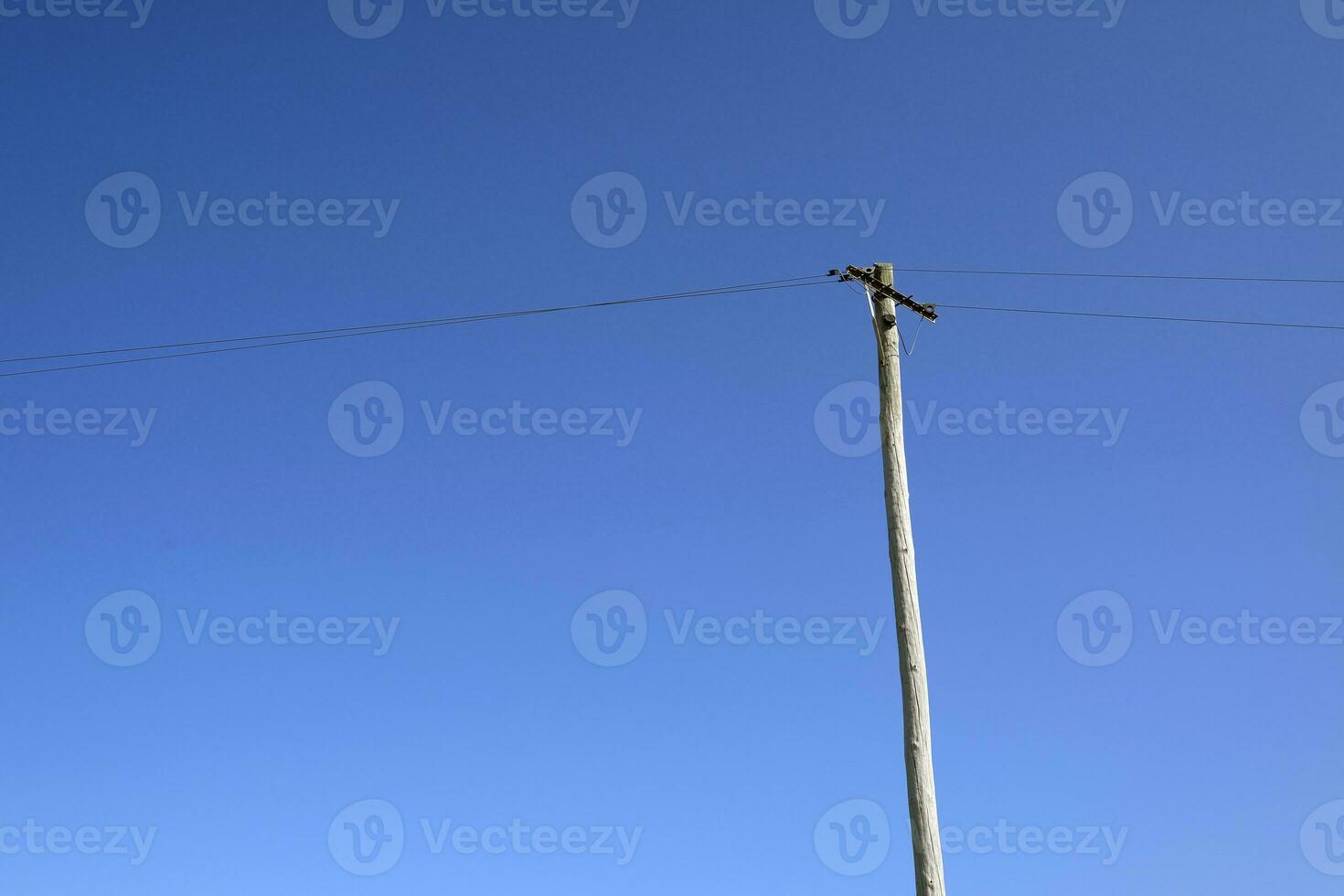 Power line and wooden pole in front of a blue sky photo