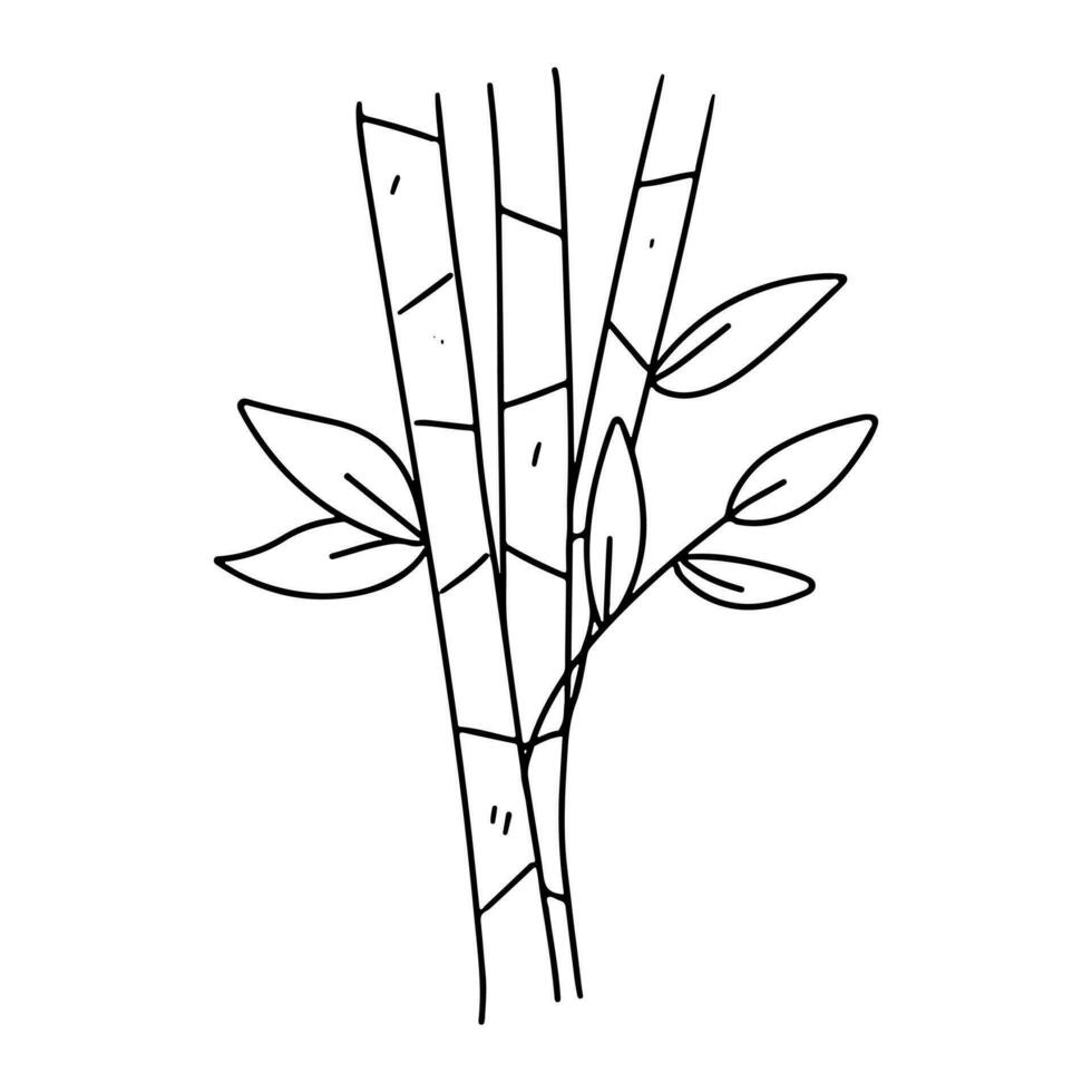 Bamboo twigs in hand drawn doodle style. Vector illustration isolated on white. Coloring page.