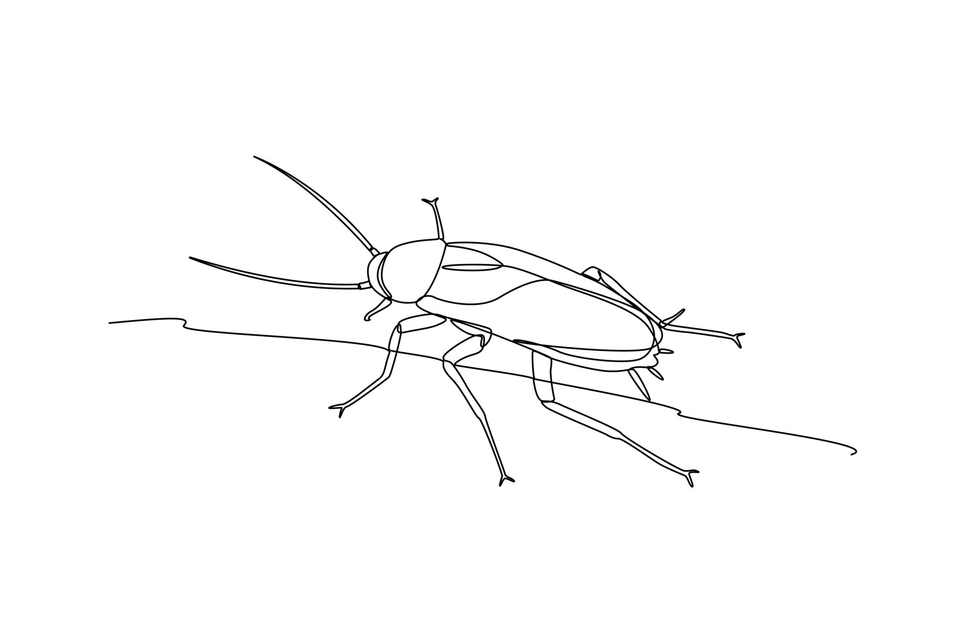 Continuous one line drawing insects concept. Single line draw design