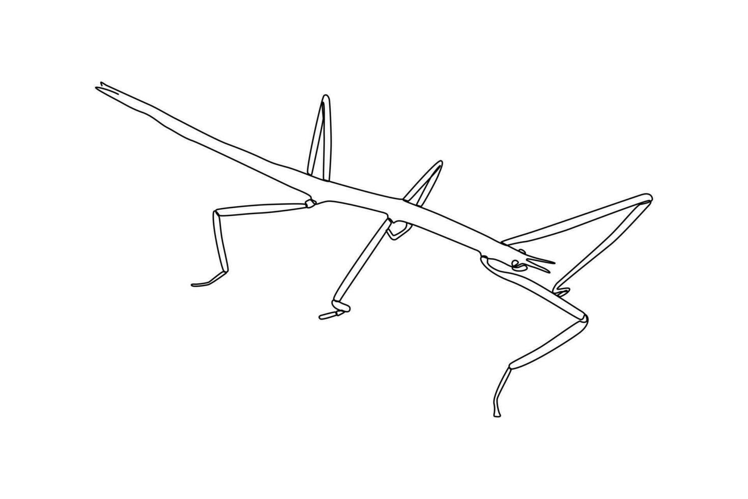 Continuous one line drawing insects concept. Single line draw design vector graphic illustration.