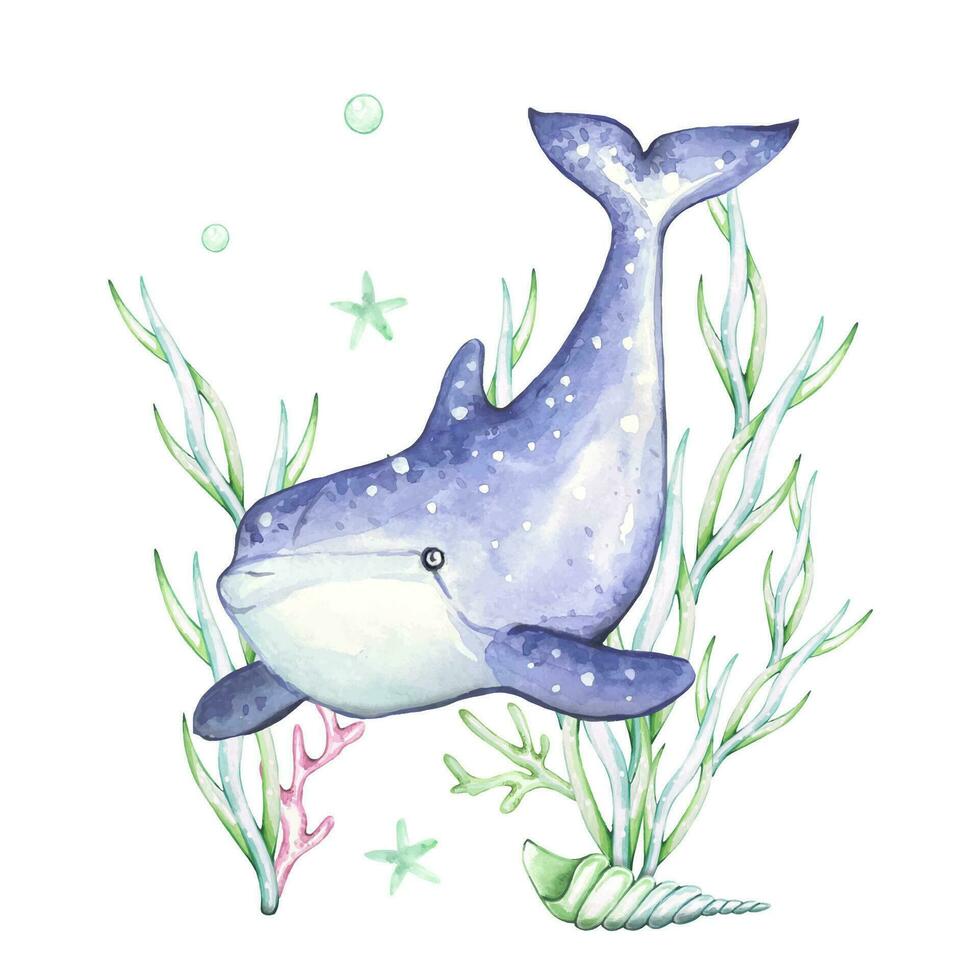 Watercolor composition with blue dolphin and seaweed vector