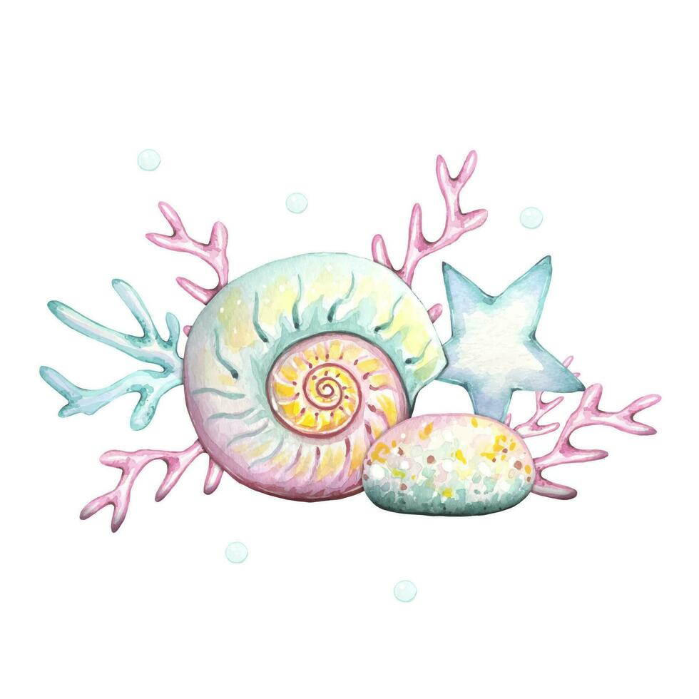 Sea composition with shell, seaweed, stone, watercolor vector
