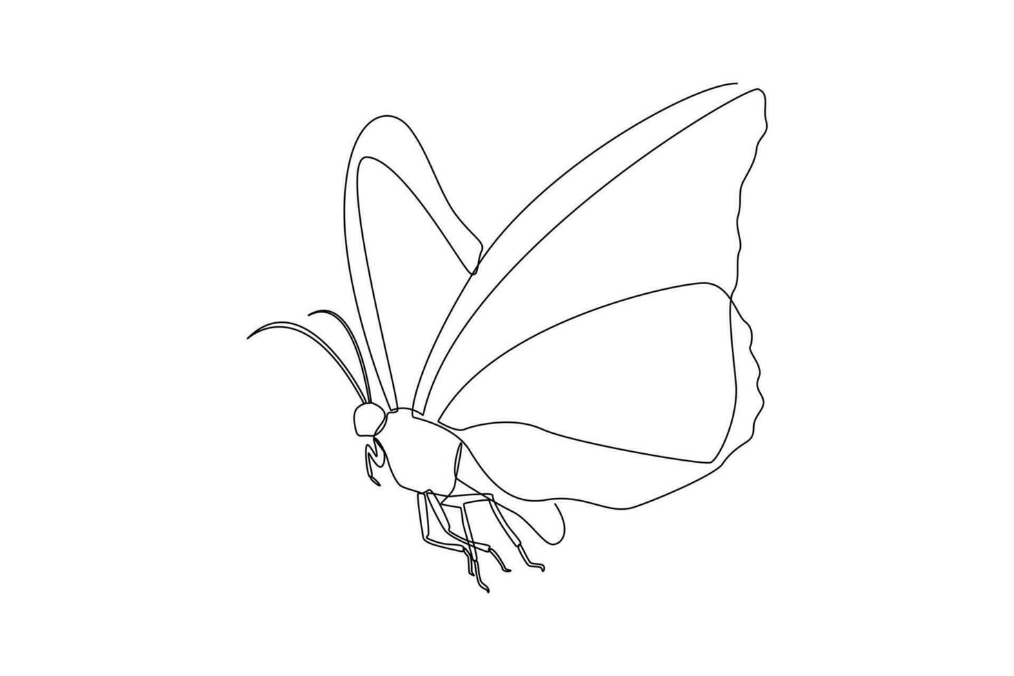 Continuous one line drawing insects concept. Single line draw design vector graphic illustration.