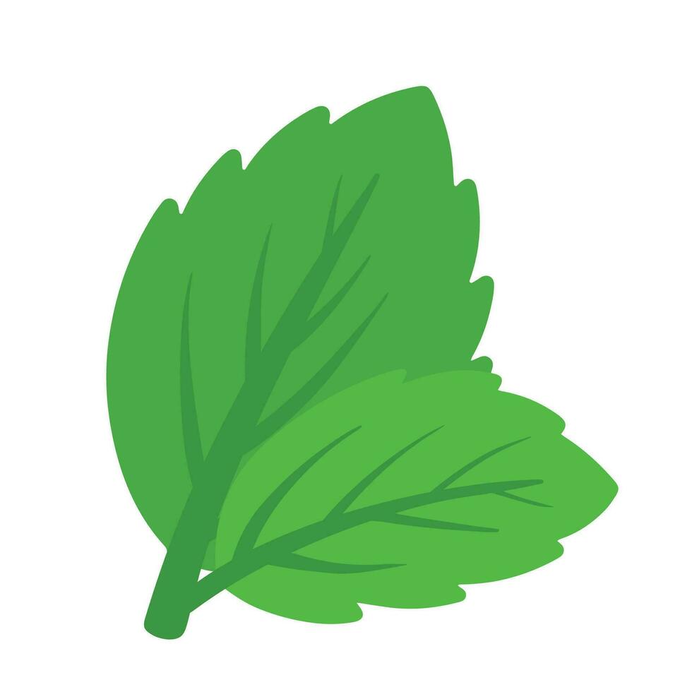 Flat Mint Leaves Icon Vector in Handdrawn Doodle Illustration for Summer Drink Ingredients
