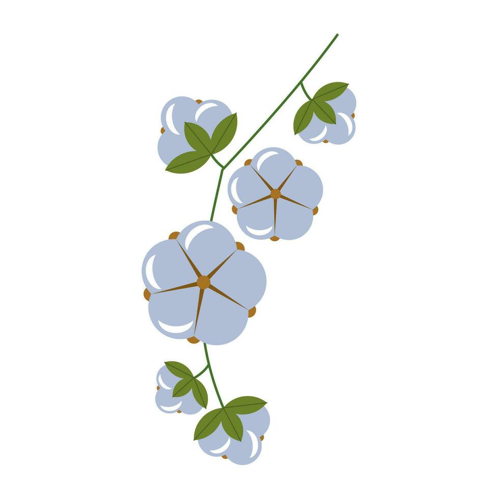 Vector illustration of flowering cotton with stem and leaves. Soft cotton. The image is suitable for packaging and textiles