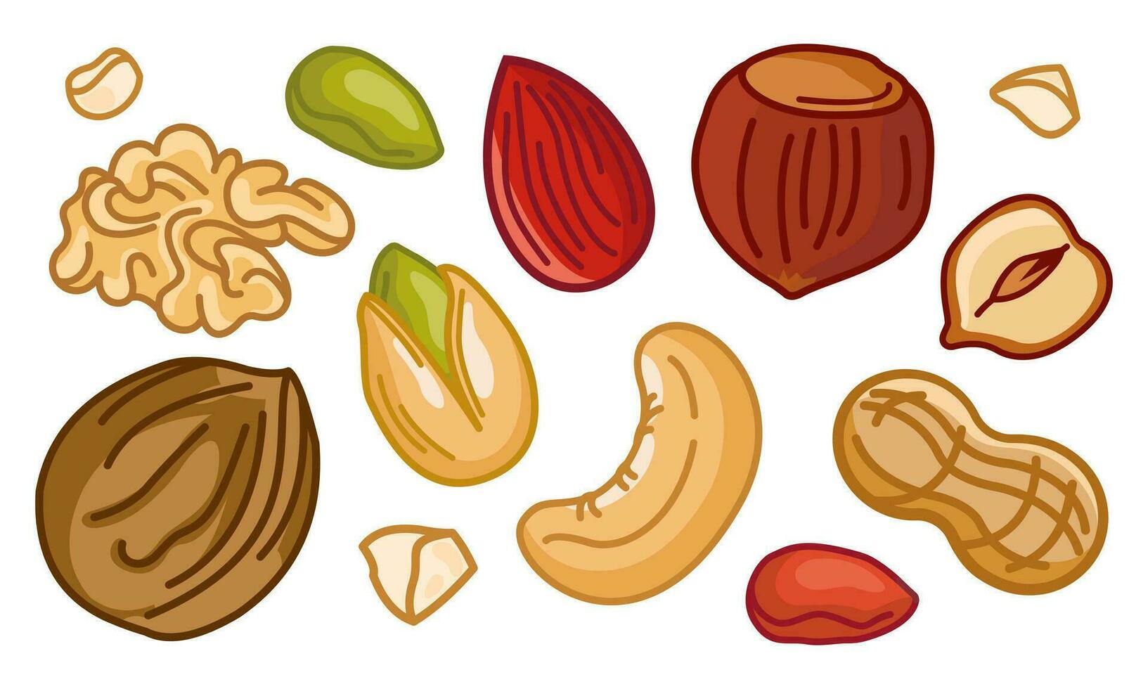 A set of nuts and seeds on a white background. Nuts almonds, hazelnuts, pistachios, walnuts, cashews, peanuts. Healthy eating. Snack. vector