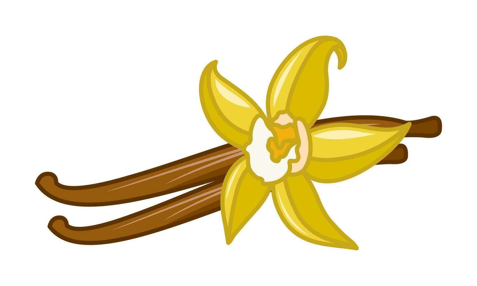 Vanilla sticks with a flower. Isolated illustration on a white background. Vector for packages.