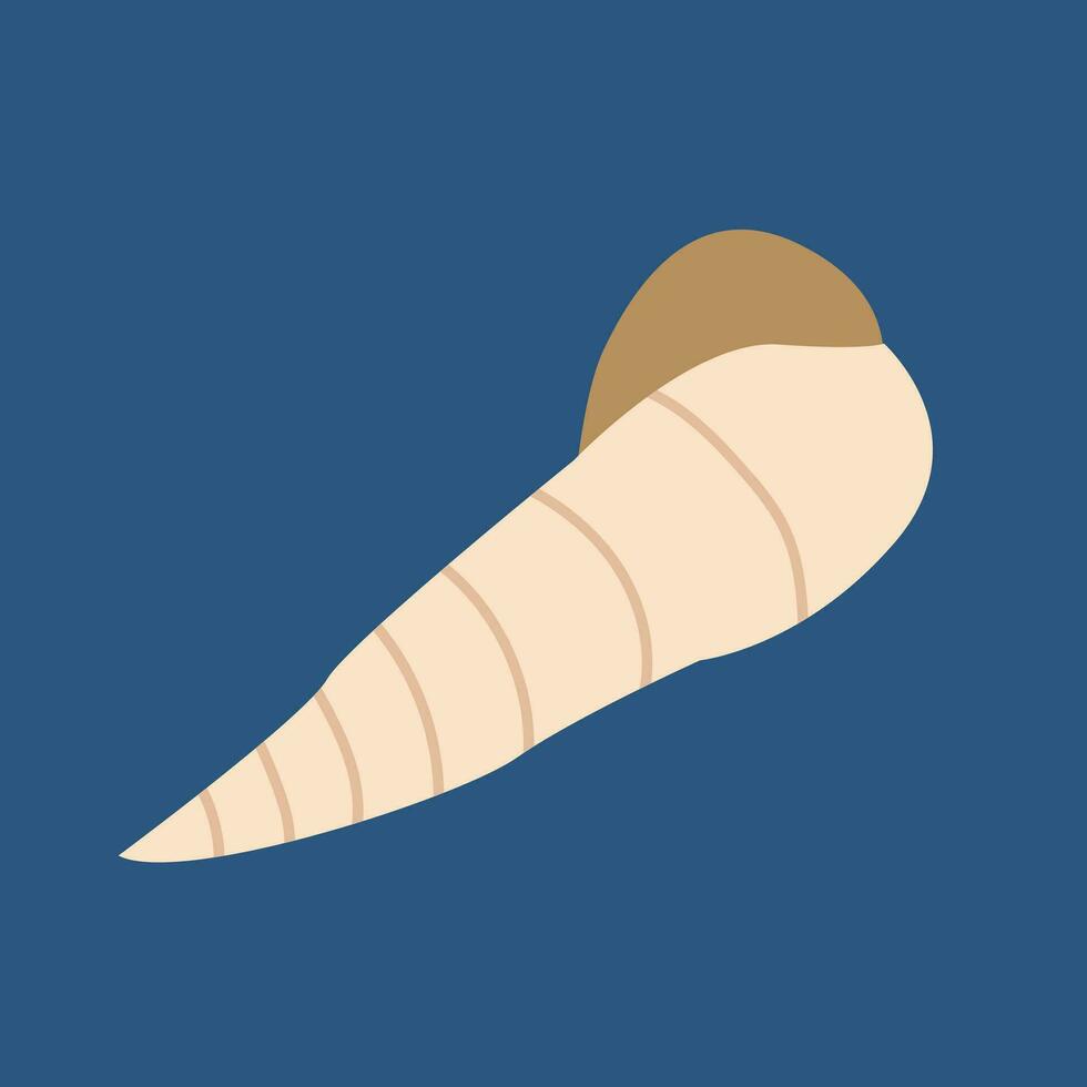 Sea shell vector flat illustration