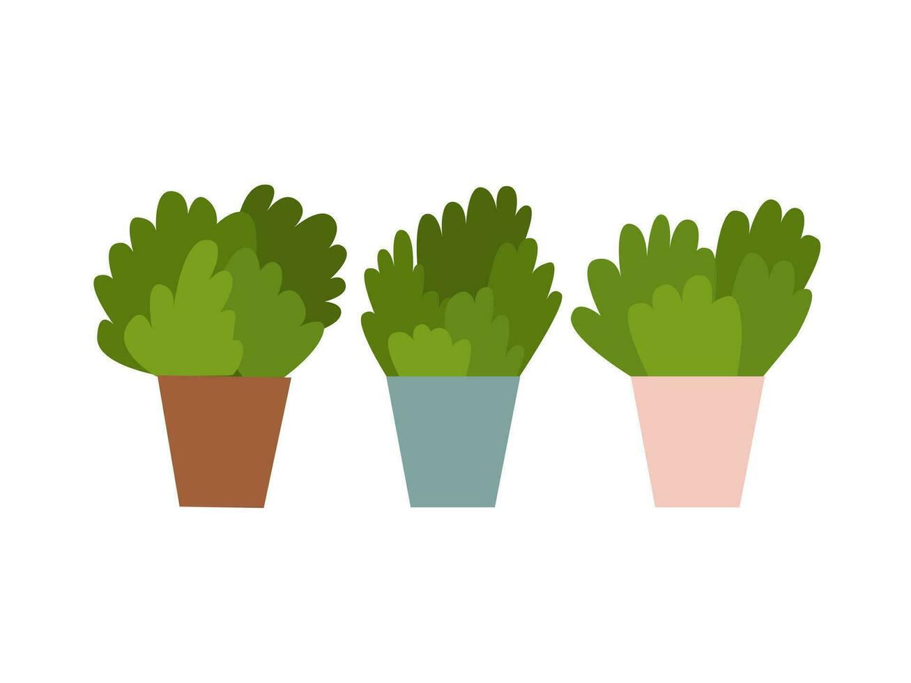 Vector flat cactuses in pots set