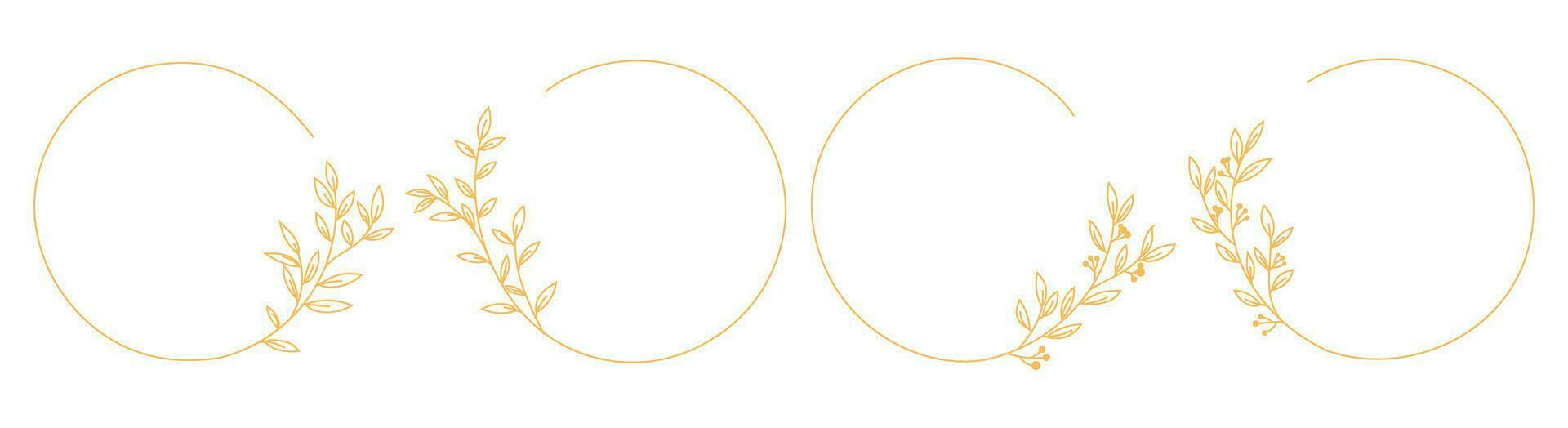 circle round leaves elegant frame border vector