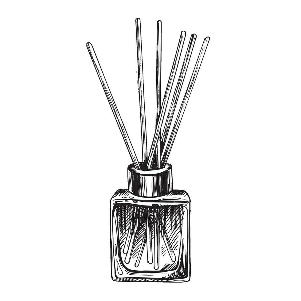 Aroma diffuser in a square glass bottle with sticks. Graphic illustration, hand drawn in black and white. EPS vector. Isolated object vector