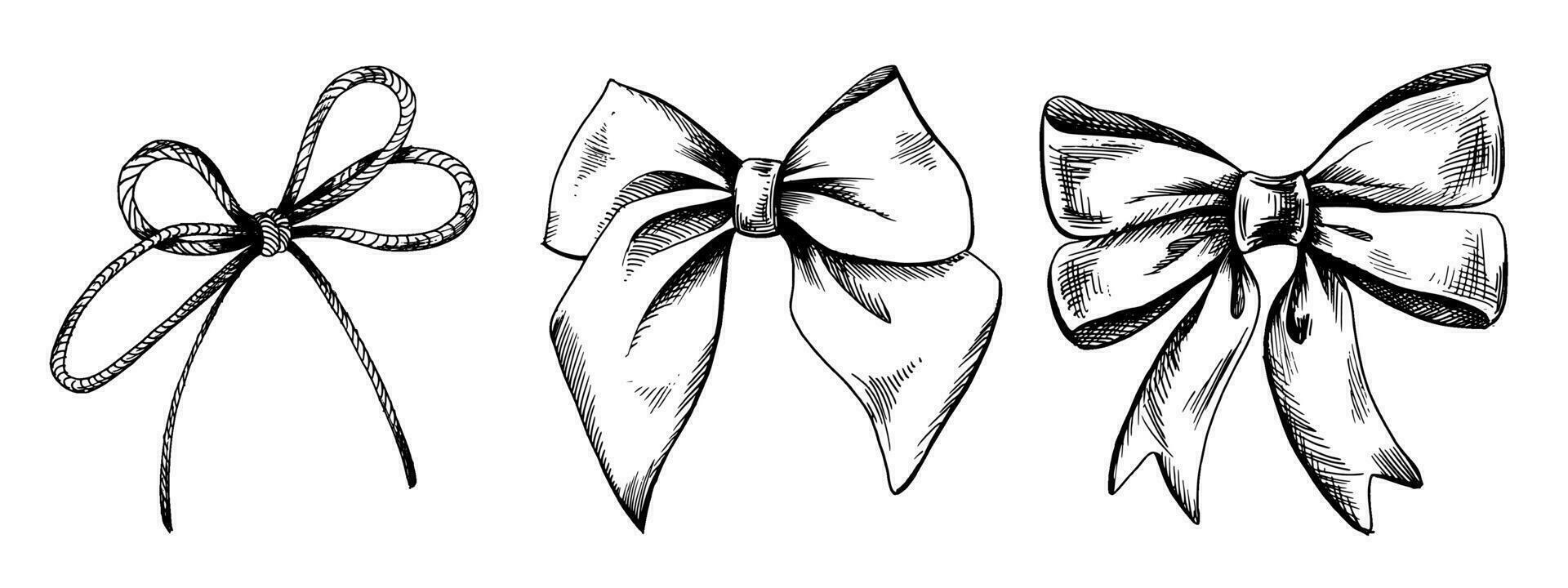 Satin bows and rope bow, hand-drawn illustration in black ink, graphics. eps vector. Set of isolated objects vector