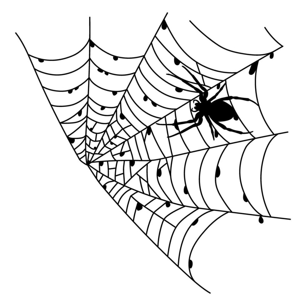 Scary black spider web isolated on white. Spooky halloween decoration. vector