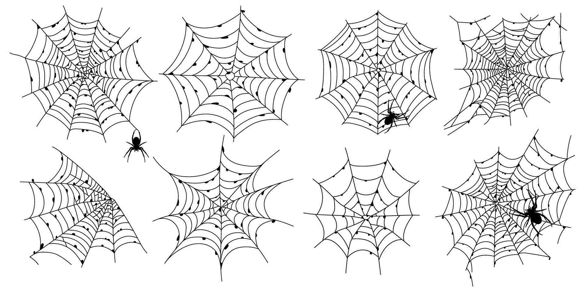 Set of scary black spider web isolated on white. Spooky halloween decoration. Outline cobweb vector