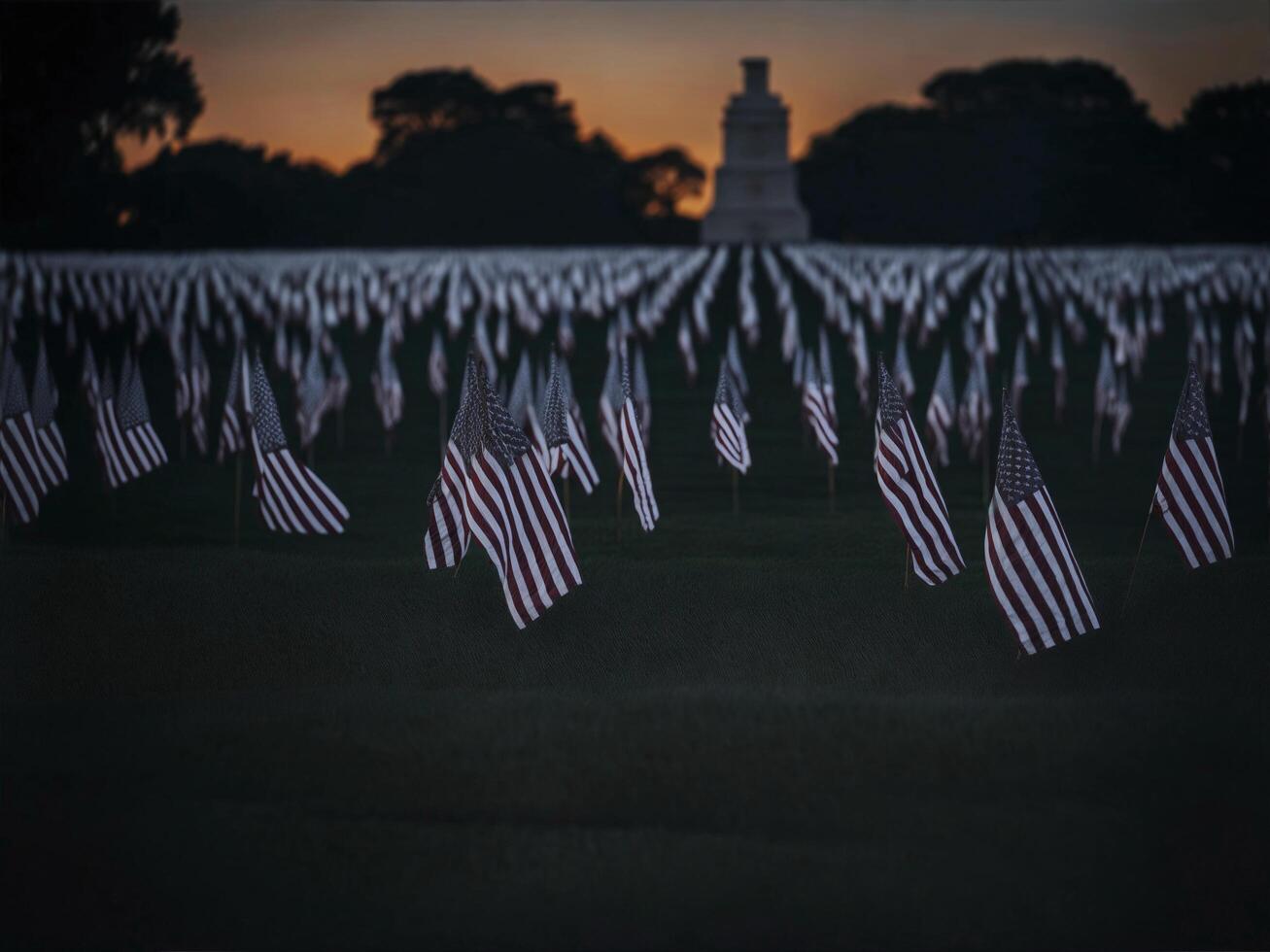 Flags at the national heroes cemetery, image photo