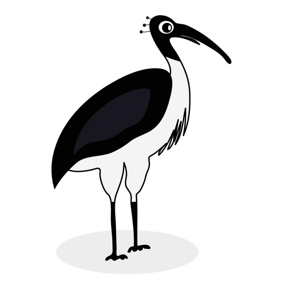 Ibis black white bird vector