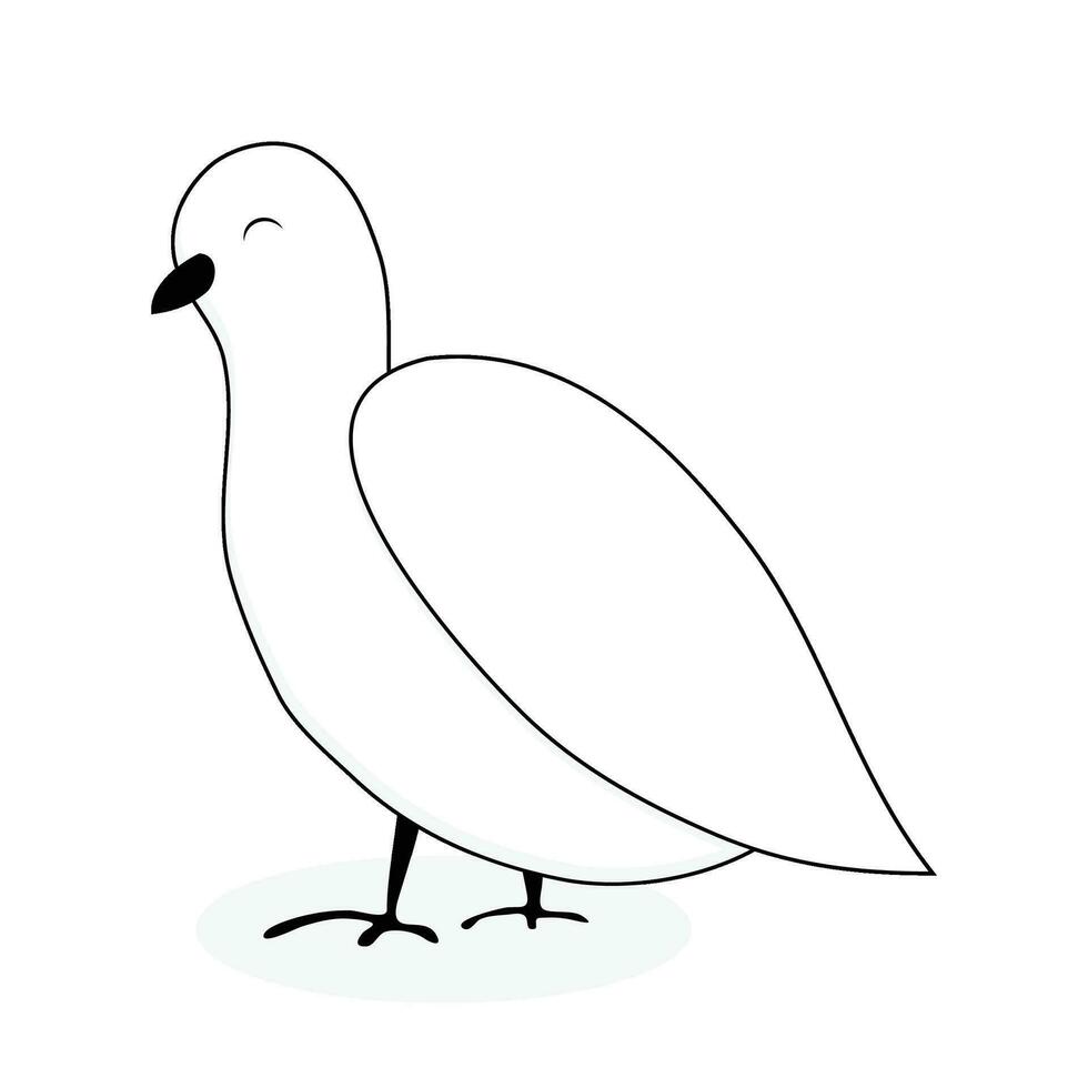 White dove animal vector. Dove and peace, white bird isolated, pigeon cartoon illustration vector