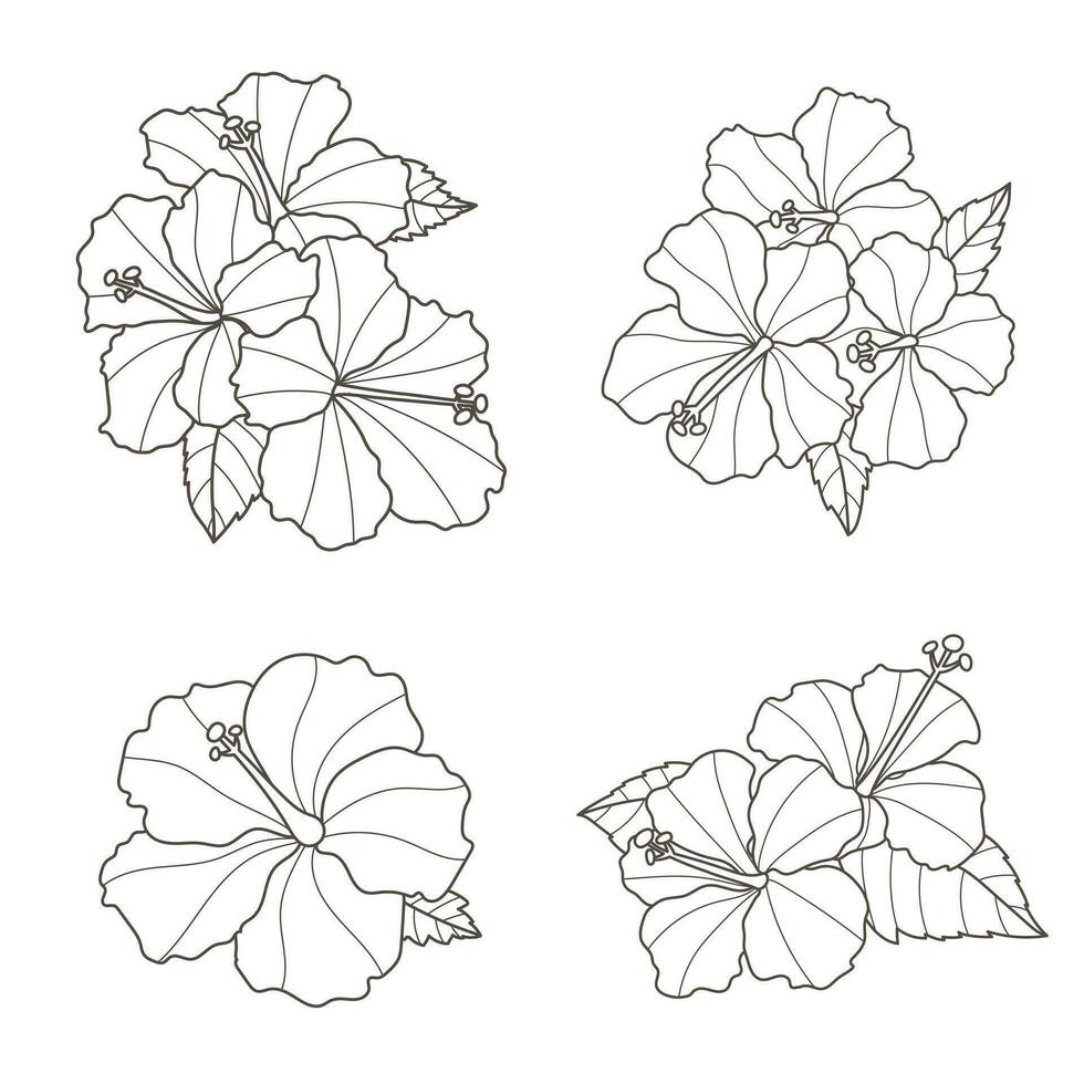 Set of hibiscus flowers, vector illustration