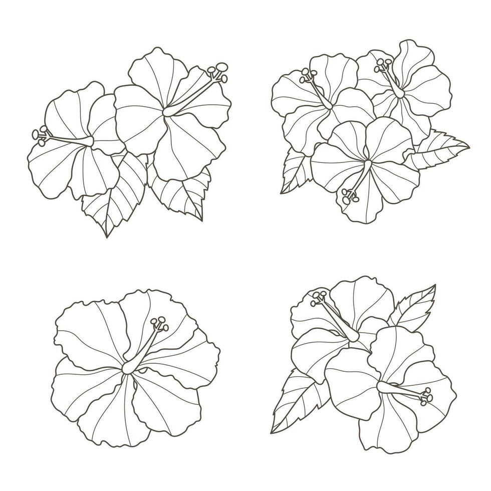 Set of hibiscus flowers, vector illustration