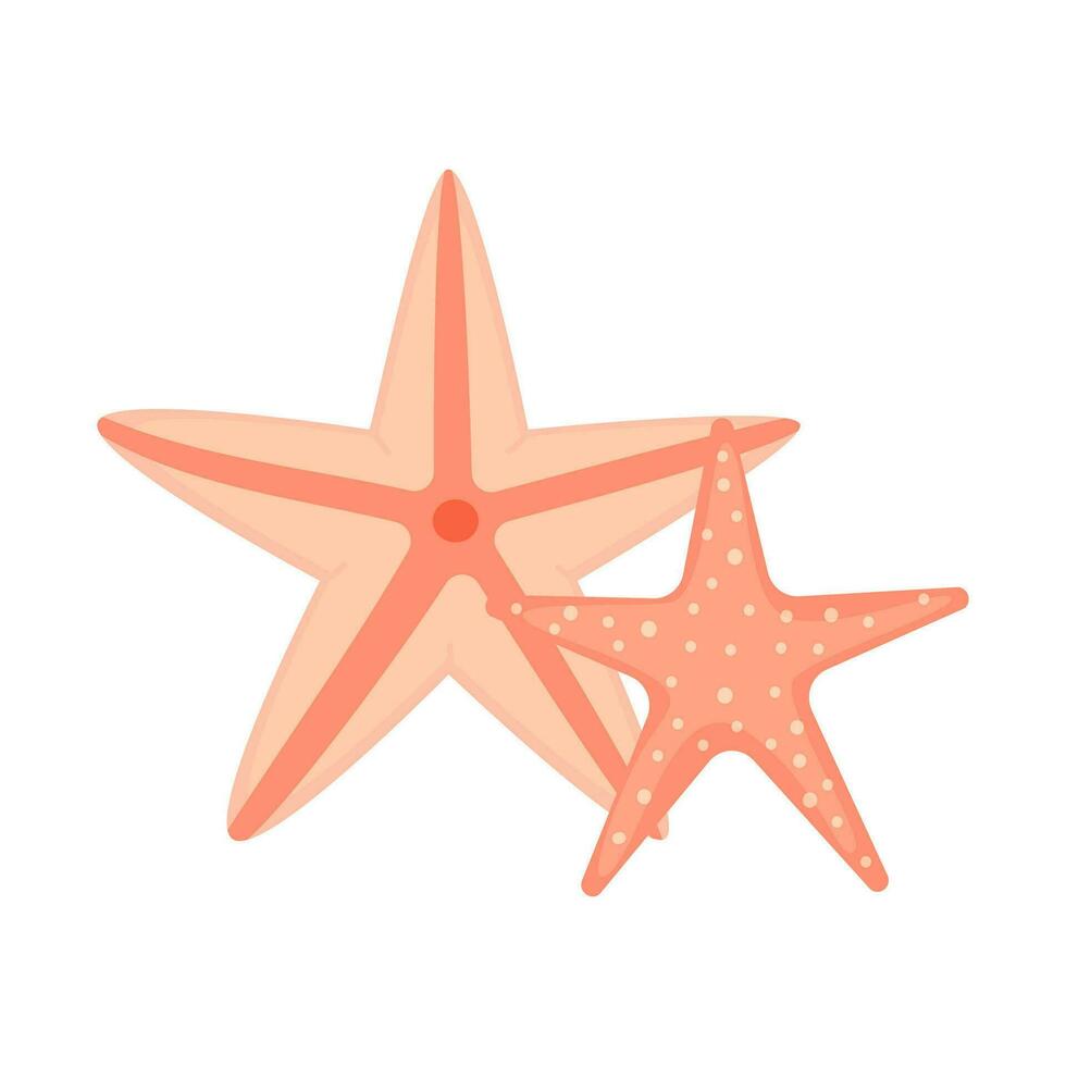 Starfish underwater animal on white background vector