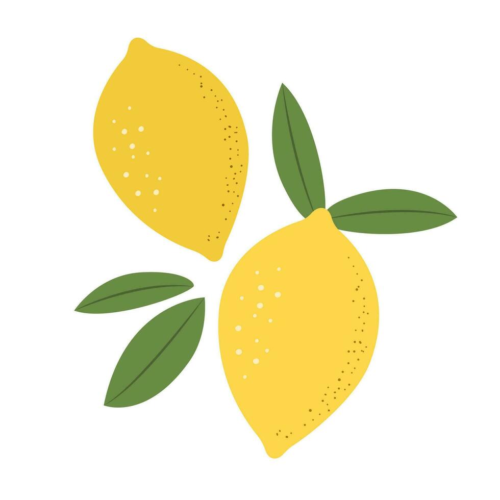 Two Lemon with leaves citrus fruit food icon vector