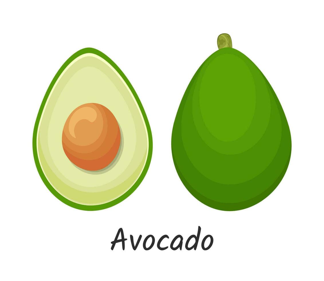 Fresh avocado vegetable icon. Whole and halves avocado with pit. Illustration in cartoon style  isolated on white background vector