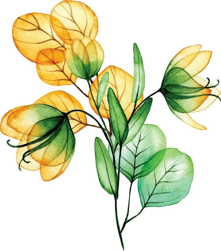 watercolor drawing. bouquet, autumn composition of transparent flowers and eucalyptus leaves. yellow and green leaves vector