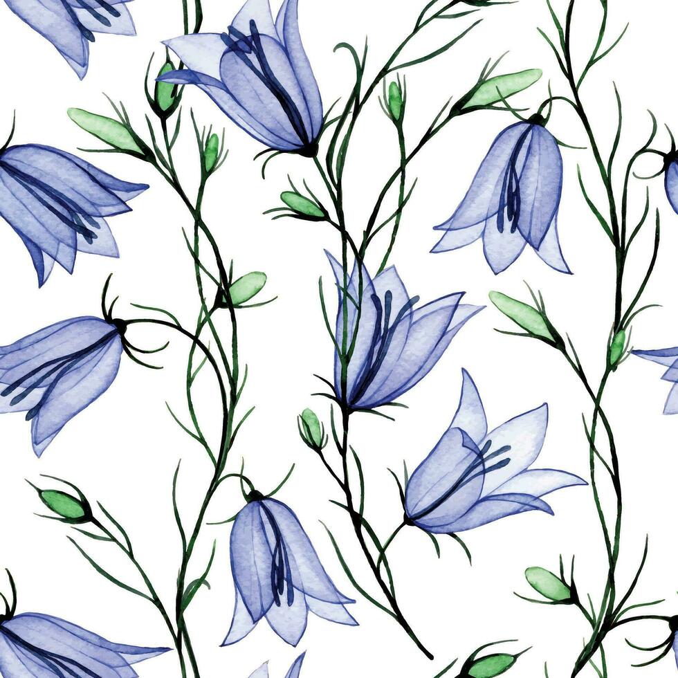 watercolor drawing. seamless pattern with bluebell flowers. spring wildflowers, x-ray vector