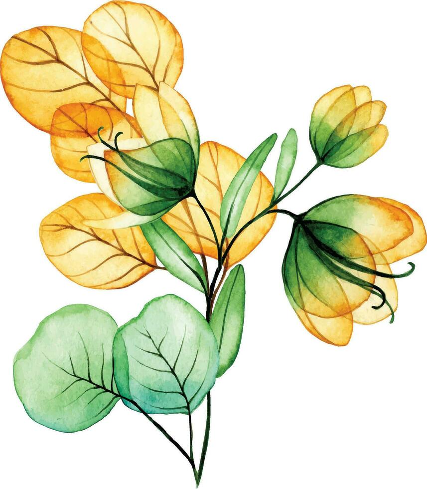 watercolor drawing. bouquet, autumn composition of transparent flowers and eucalyptus leaves. yellow and green leaves vector