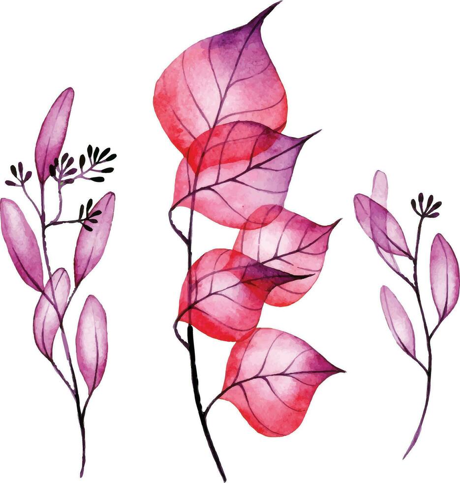 watercolor drawing. set of transparent leaves in pink and purple. autumn leaves vector