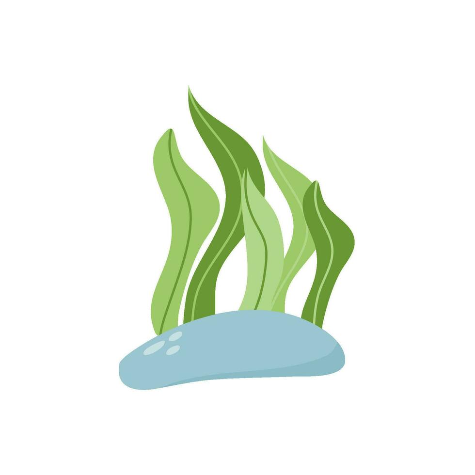 sea elements icon vector