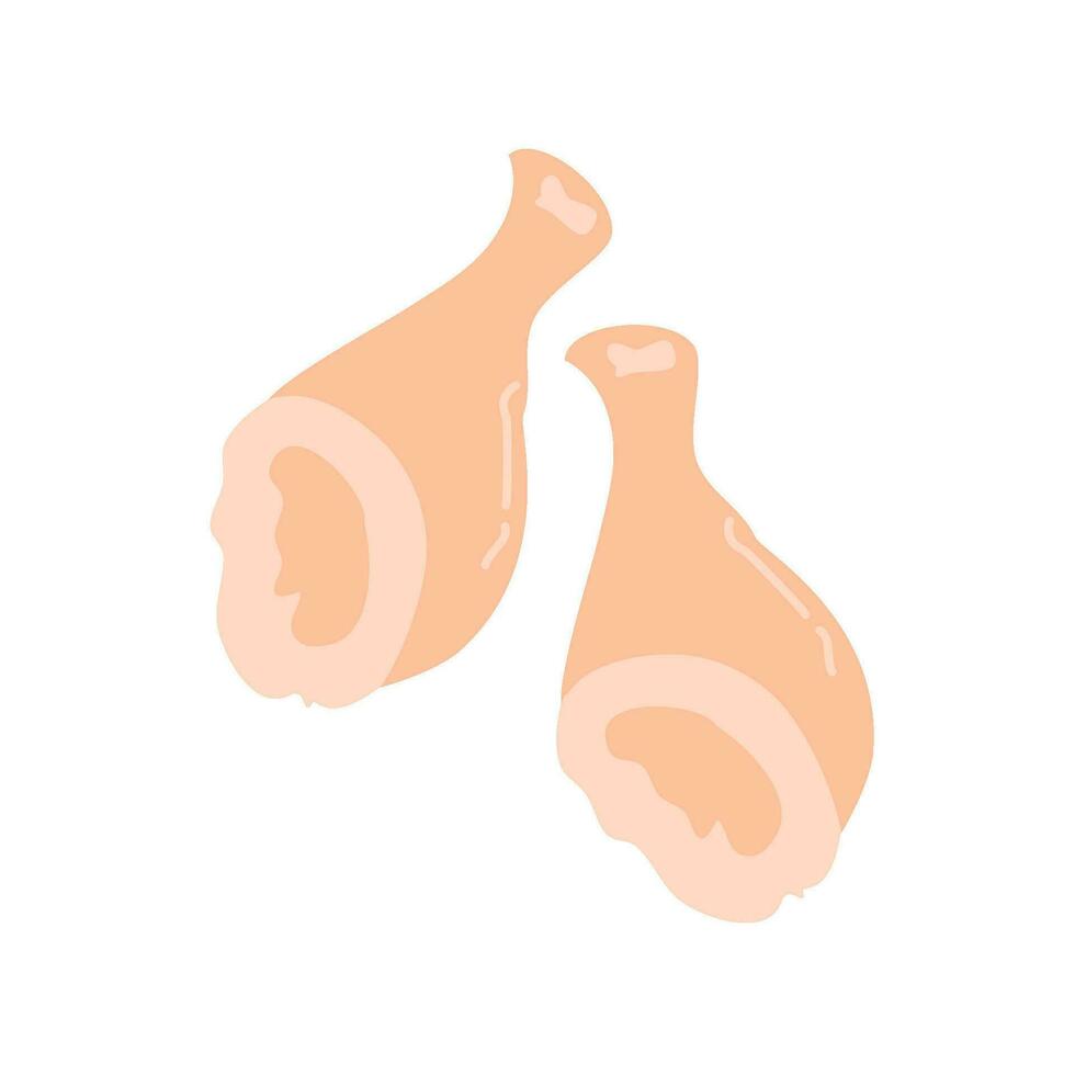 hand drawn raw chicken legs vector