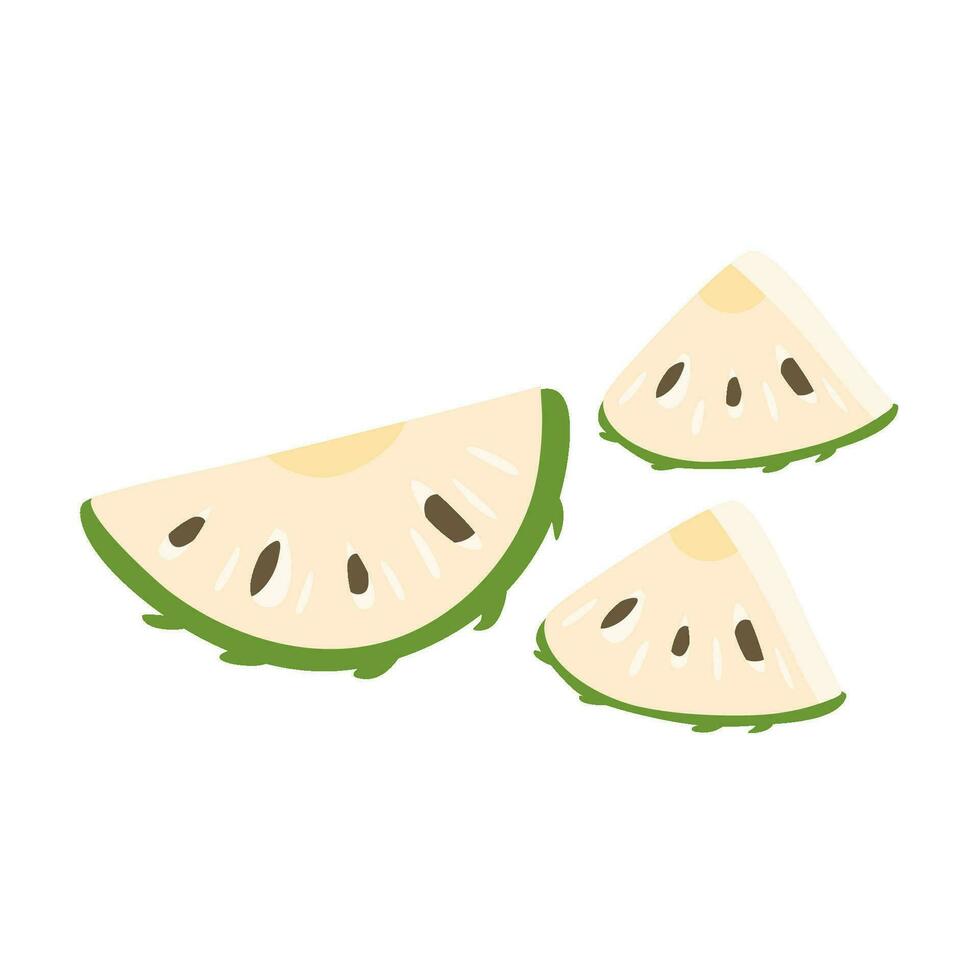 soursop or annona muricata fruits vector