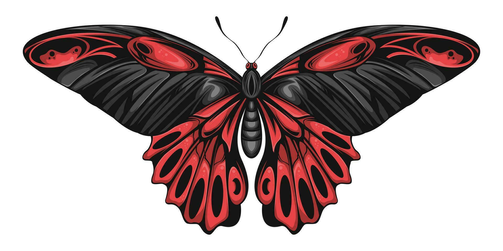 Butterfly With Black Red Wings Vector Illustration