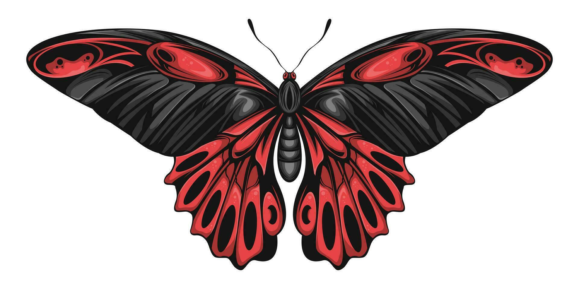 mariposa con negro rojo alas vector ilustración