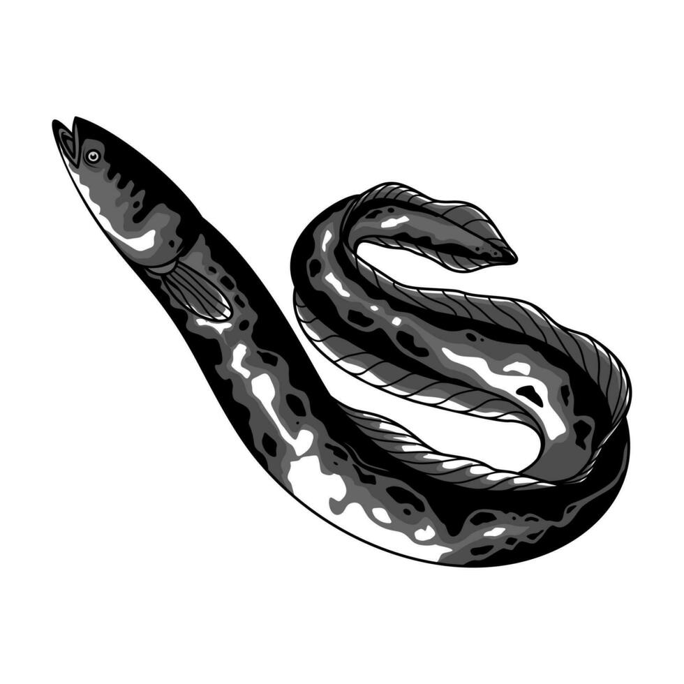Anguila pescado vector diseño ilustración