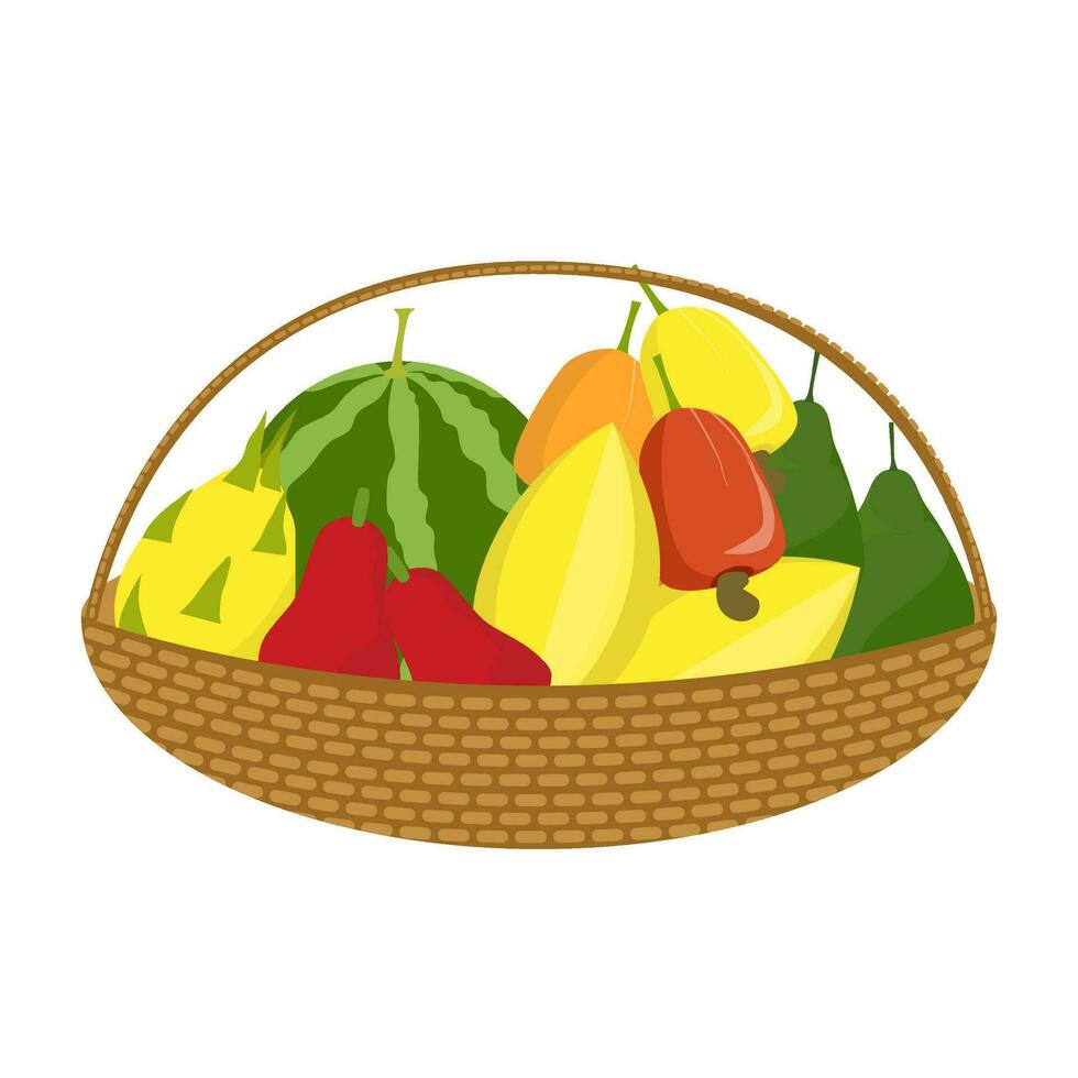 Fruit Basket Illustration with Various Tropical Fruits vector