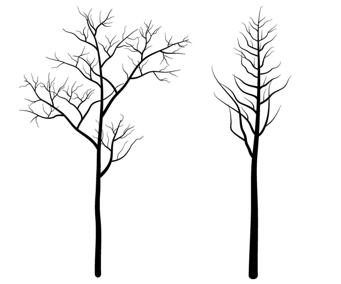 Set of Deciduous Bare Tree Silhouette vector