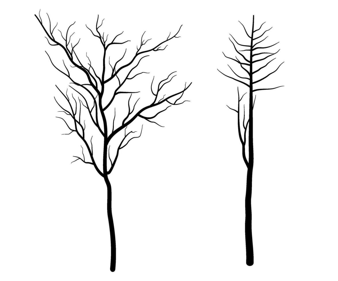 Set of Deciduous Bare Tree Silhouette vector