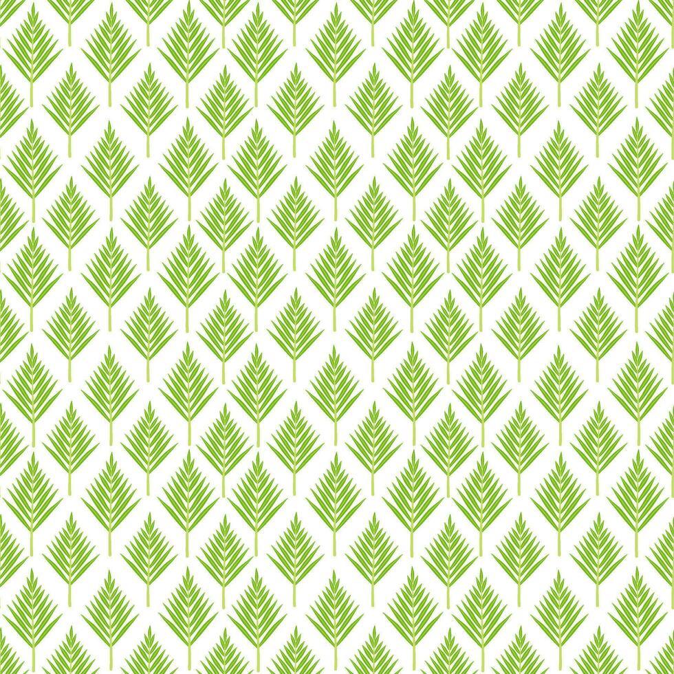 Green Palm Leaves Seamless Pattern Isolated on White Background vector