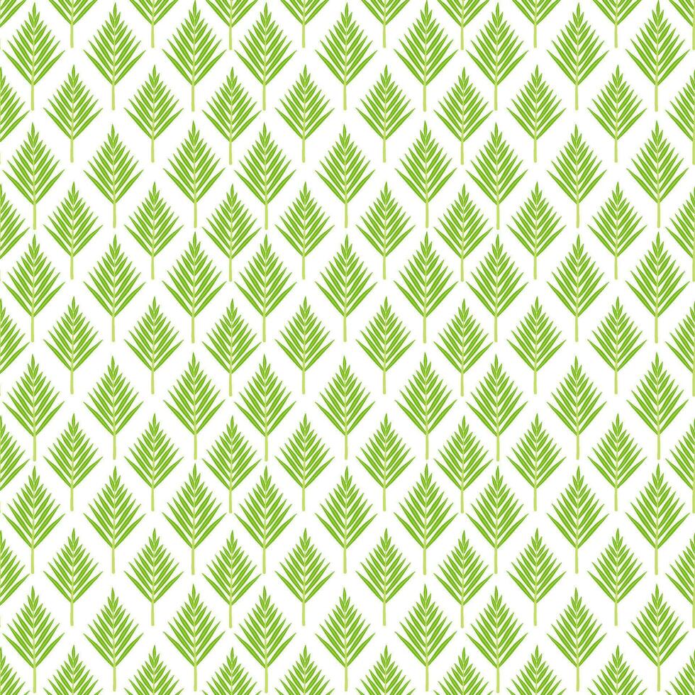 Green Palm Leaves Seamless Pattern Isolated on White Background vector