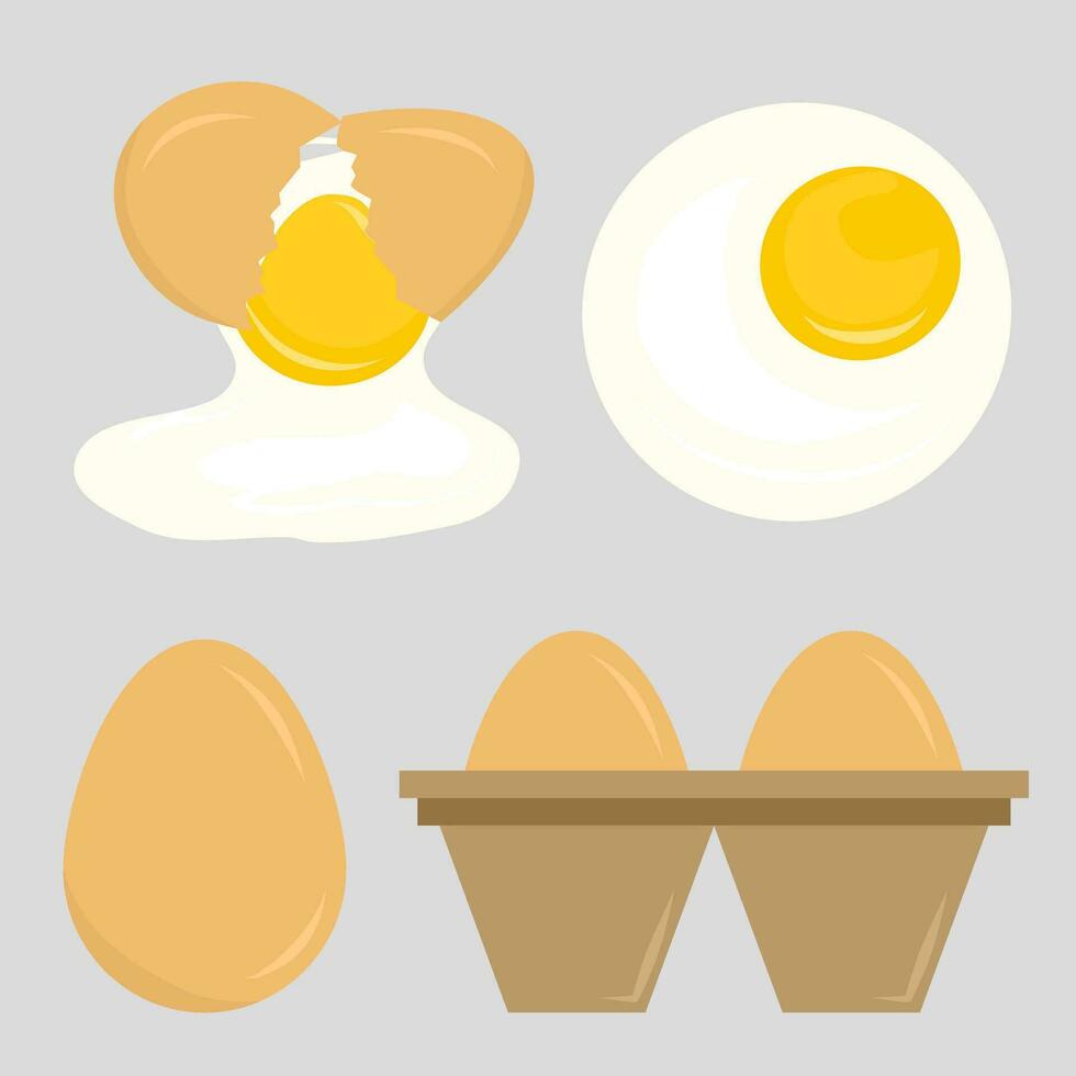 Raw and fried Eggs collection vector