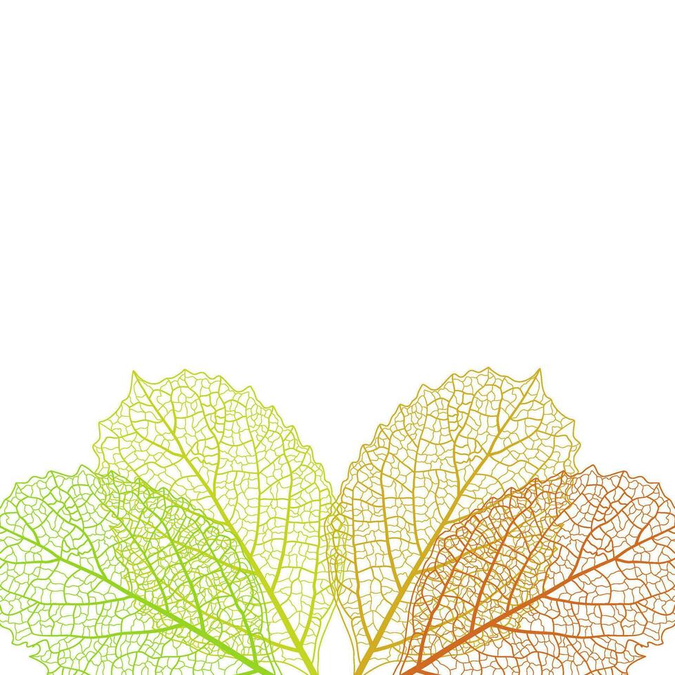 Macro colorful leaves vein background. Seasonal leaf decoration vector