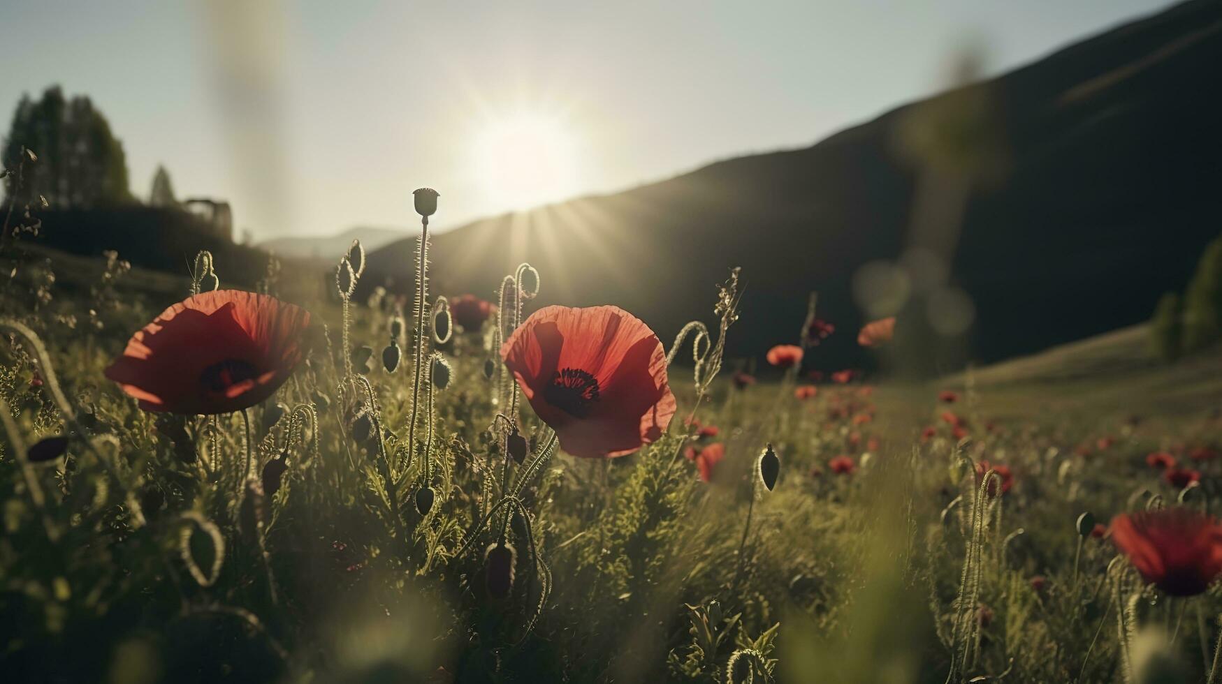 A stunning photo captures the golden hour in a field of radiant red poppies, symbolizing the beauty, resilience, and strength of nature, generate ai