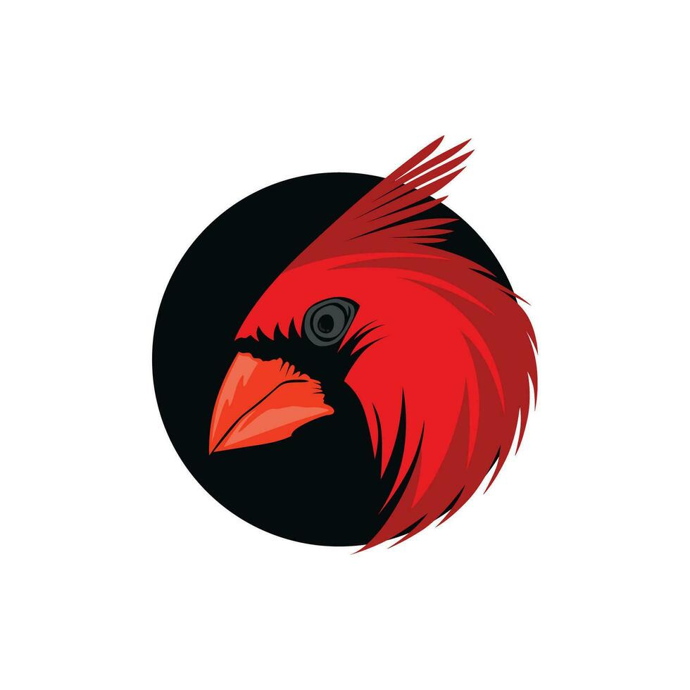 vector illustration cardinal bird