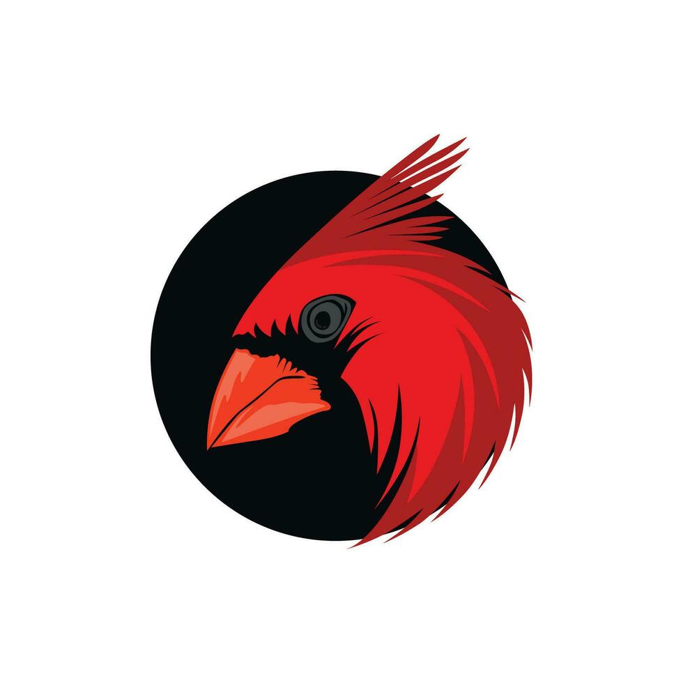 vector ilustración cardenal pájaro