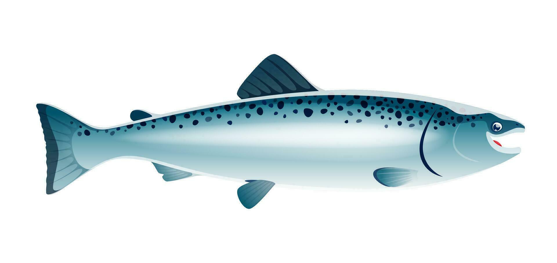 dibujos animados salmón pescado mar animal con pulcro cuerpo vector