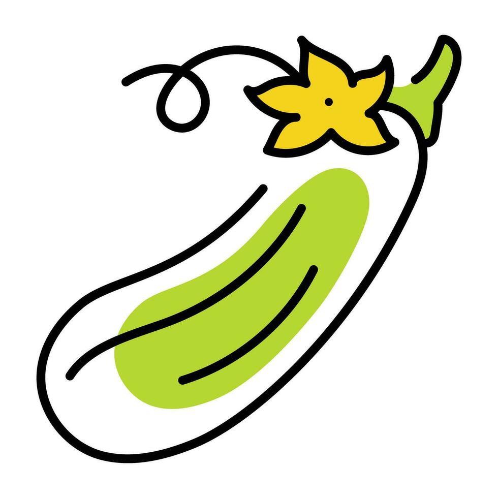 Trendy Zucchini Concepts vector