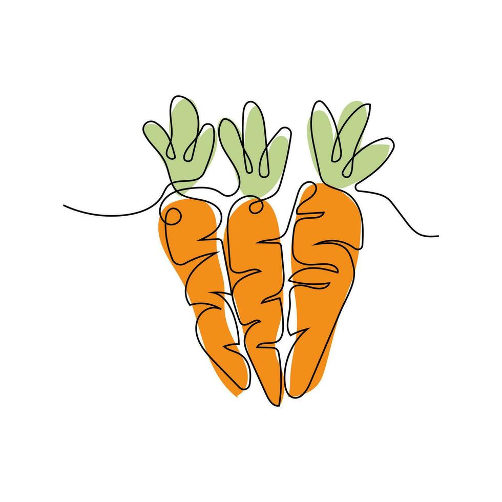 Carrot Logo, Vector Garden Farm Carrot Vegetables, Line Design, Template Illustration