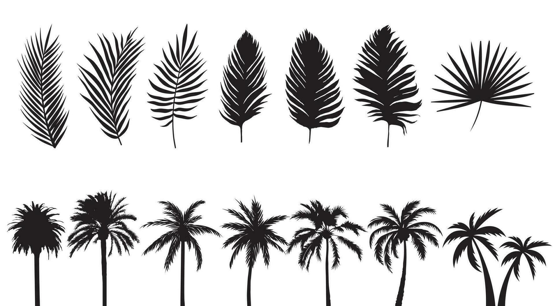 Palm tree silhouettes collection. Isolated palms leaves set. Vector graphics of trees. Tropical and exotic plants. Natural and cartoon shapes. Black illustrations on white background.